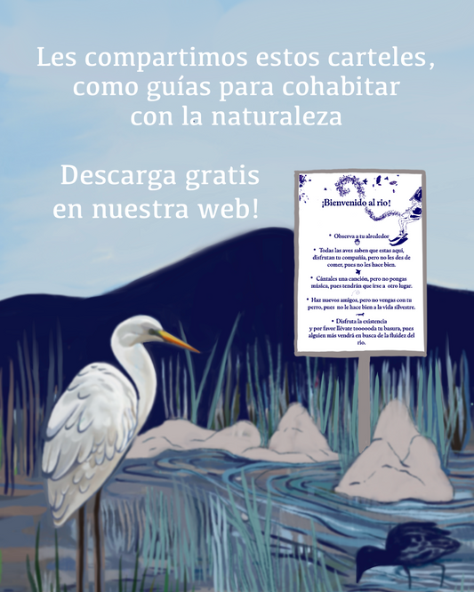 Señalética Bosque Azul